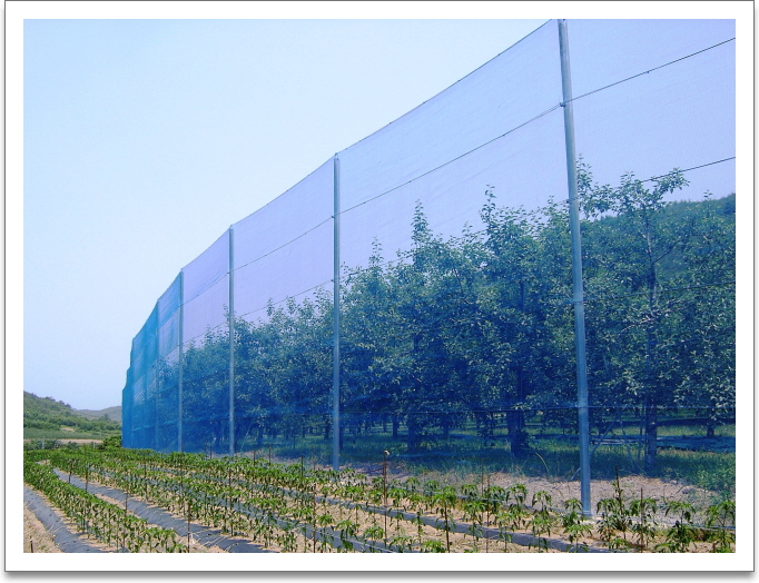 방풍.방충망 3.0m x 100m